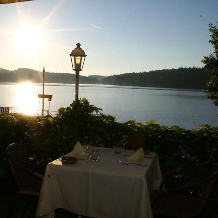 Logis Hotel Du Lac Neuvic  Exteriér fotografie